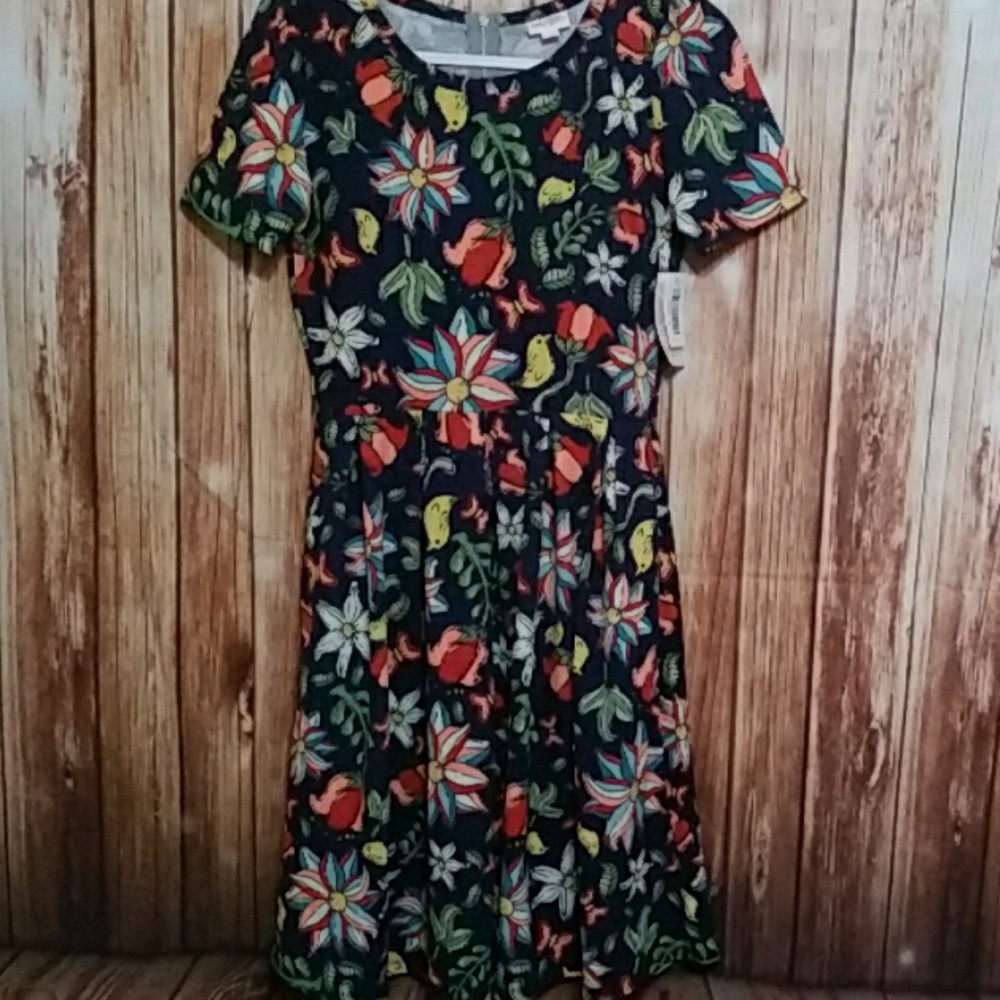 Lularoe Amelia dress